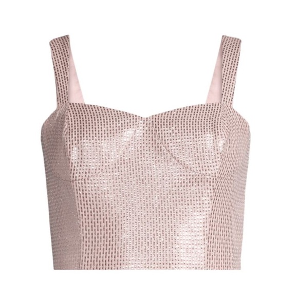 Ramy Brook Tops - Ramy Brook Raquel Metallic Bustier in Pale Pink Size 10